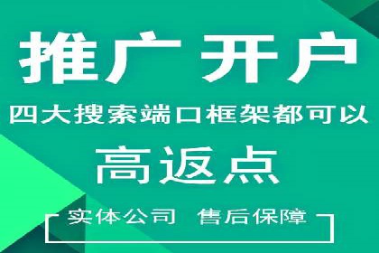 SEM运营中的数据分析和优化案例研究
